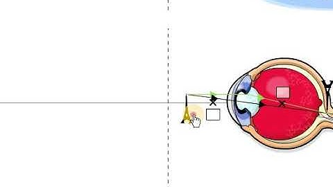 Điều tiết của mắt