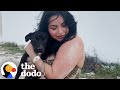 She Rescued A Dog While On Vacation In Cancun The Dodo She Rescued A Dog While On Vacation In Cancun The Dodo