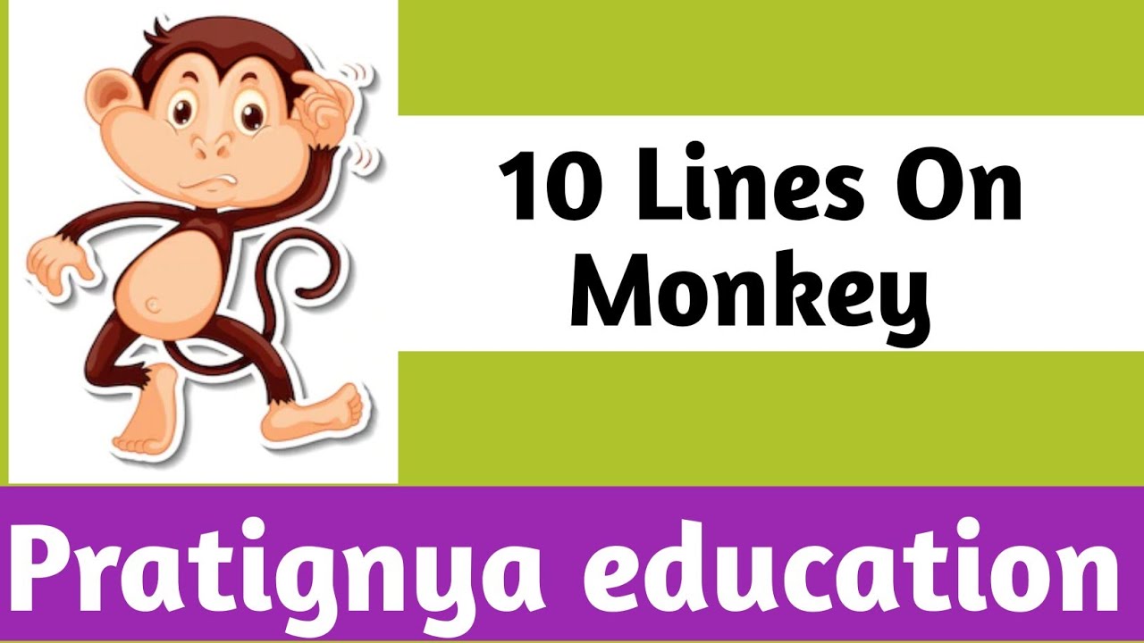 10 Lines On Monkey In English //Monkey Essay In English// Essay On Monkey