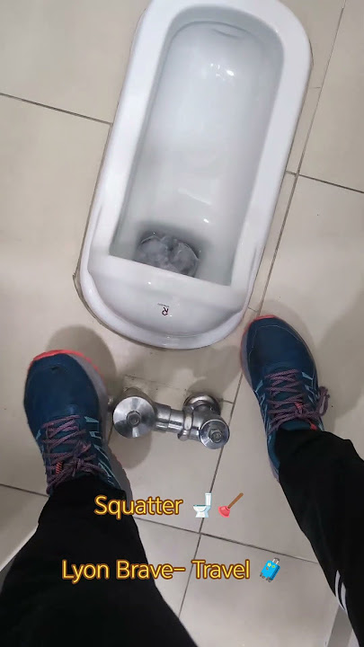 Embracing the Squat: toilet 🚽 🪠 💩 Obsession with Squat Toilets in Asia #shortsfeed  #shorts 😂 #poop
