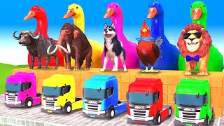 5 Giant Duck, Monkey, Piglet, chicken, bear, cat, cow, Sheep, Transfiguration funny animal 2023