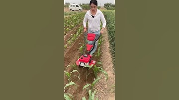 #260 high horsepower micro-tillage machine#weeding, rotary tillage, ditching and leveling the groun