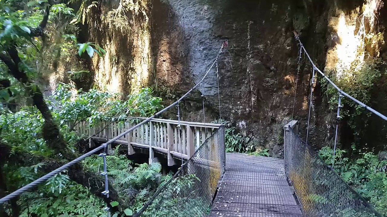 Mangapohue Natural Bridge Walk YouTube