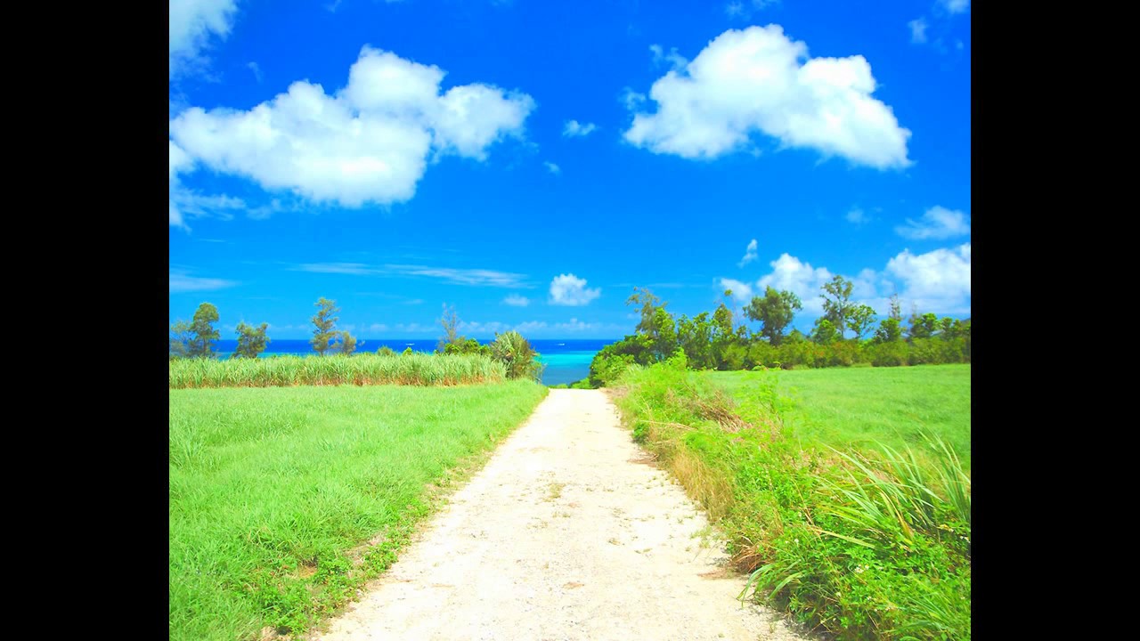 からたち野道 高野寛 Youtube