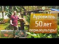 Ауровилль. 50 лет пермакультуры!