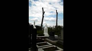 Секційне зрізання дерев на цвинтарі із завішуванням, послуги арбористів