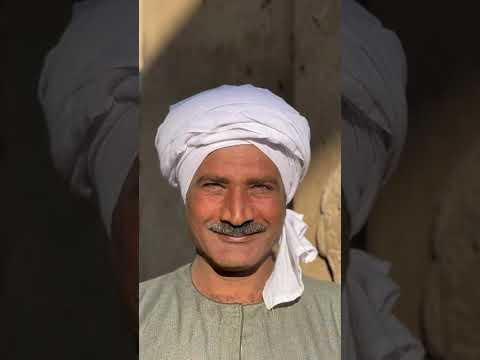 كدنا العوازل محرم فؤاد
