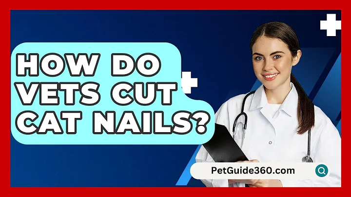 How Do Vets Cut Cat Nails? - PetGuide360.com