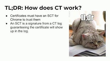BSidesSF 2019 - Cats? In My Certificate Transparency Logs? (Scott Behrens • Ian Haken)
