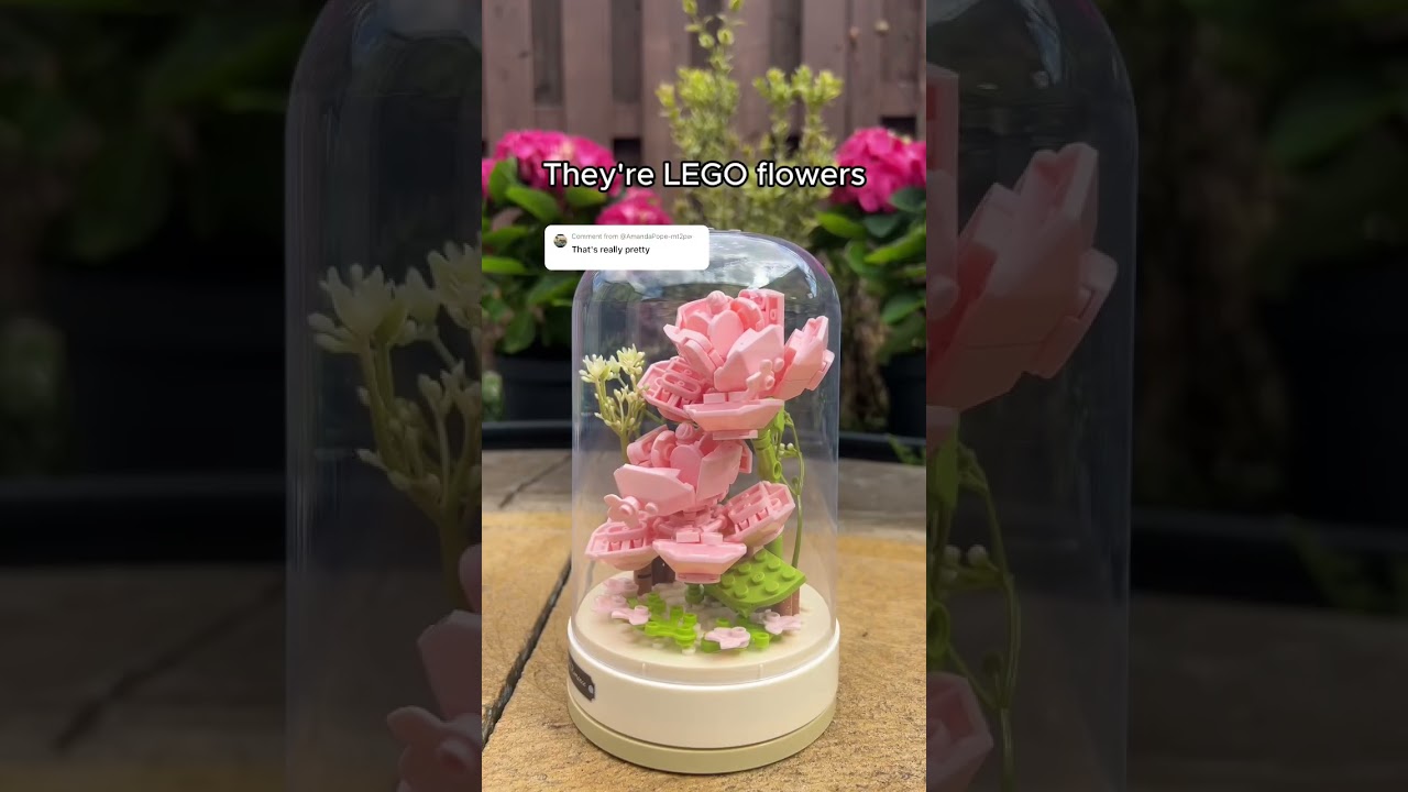 What do you think? 🥹🌹💐 