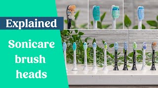 Best Sonicare Brush Head Explained 2024