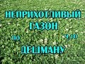 ч.10 Газон по дешману, не требующий ухода.