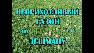 ч.10 Газон по дешману, не требующий ухода.