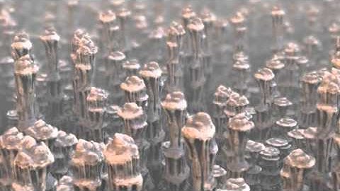 Arnold & XGen Tutorial: Render a surreal scene