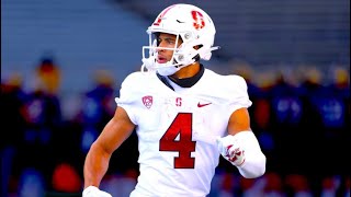 Michael Wilson Ultimate Stanford Highlights 🌲 || HD