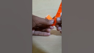 Cat Pattern #shorts #shortvideo #ytshorts #cubeabc