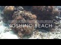 Okinawa Miyakojima Snorkeling May 2016 &quot;YOSHINO BEACH&quot; 宮古島 シュノーケリング 吉野海岸