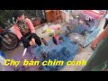 Tham quan phiên chợ bán chim cây cá cảnh