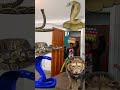 Real life Lion attack Animal funny video Anaconda snake python in my house #vfx magic#shorts 28