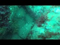 Phil strang big dive 2015 new zealand 2nd jan 2015