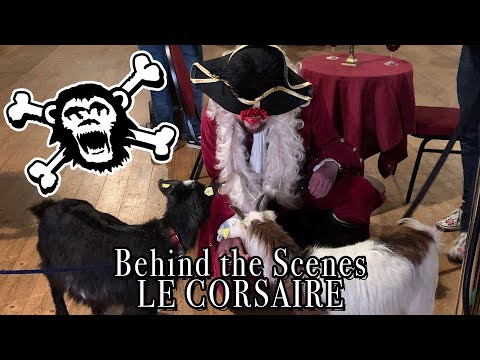 Videodreh mit Ziege 🏴‍☠️Behind the Scenes Musikvideodreh Le Corsaire 💀 Mr. Hurley & Die Pulveraffen