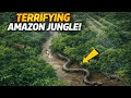 Most Dangerous Animals Of Amazon Rainforest | Strange Facts About Amazon Rainforest
