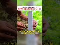 川の中に橋を作る!? 天才的な発想と職人技にびっくり! #橋作り #DIY建築 #手作りプロジェクト #川の工事 #天才の発想