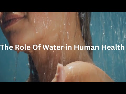 The Vital Role