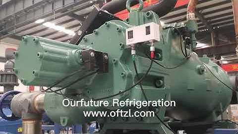 Bitzer HSN 280 x 2 complete.