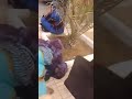 ضابط شرطة رفيع يعتدي على إمرأة حامل في كلميم ضابط شرطة رفيع يعتدي على إمرأة حامل في كلميم