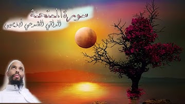 سورة الممتحنة🍂| تلاوة جميلة و خاشعة للقارئ الراقي الشرعي ابويحيى 🎧❤️| Surah-AlMumtahanah