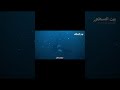 ذكاء الأوركا في الصيد: استراتيجية صيد سرب من السمك! 😯🌊 #shorts