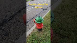 A Fun Fact About A Fire Hydrant #firehydrant #hydrant
