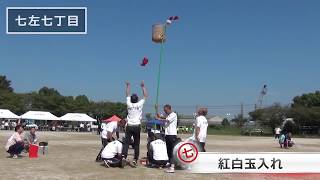 越谷市 紅白玉入れ 出羽地区体育祭 2017