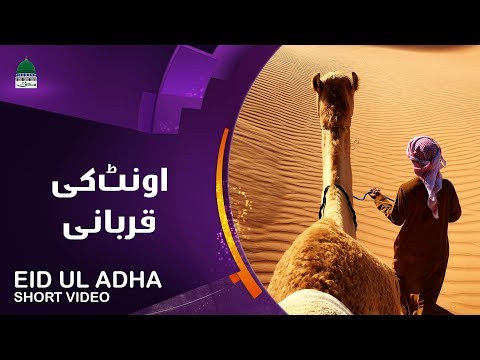 islam-|-oont-ki-qurbani-|-short-documentary-|-eid-ul-adha-|-madani-channel