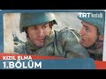 Kızıl Elma 1 Bölüm