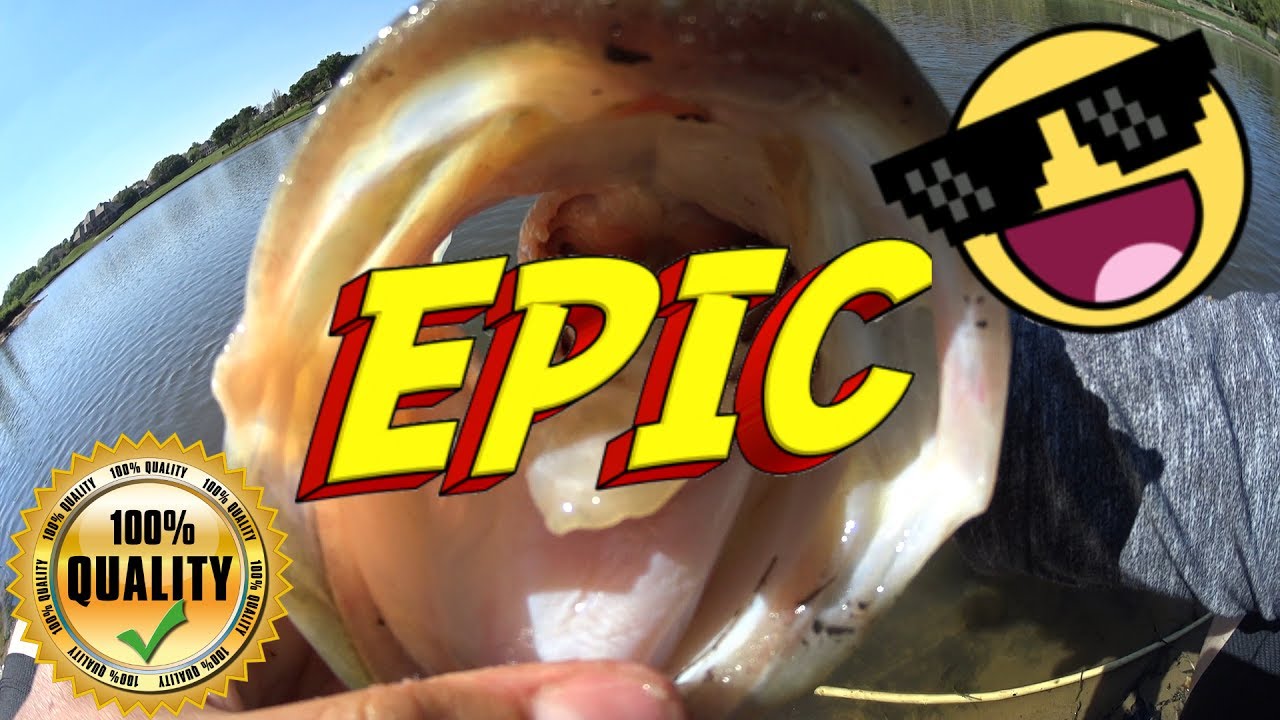 Pond Fishing!!! Catching Giant Pond Bass 