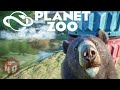 Planet Zoo - Тайваньский чёрный медведь! #4