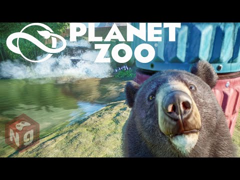 Видео: Planet Zoo - Тайваньский чёрный медведь! #4