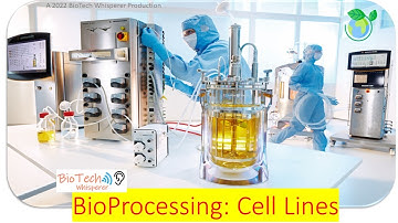 Bioprocessing of Cell Lines Explained in 7 Minutes