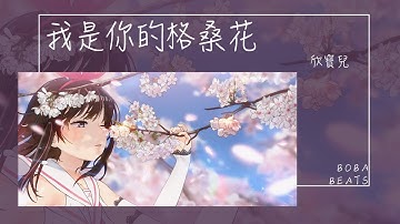 欣寶兒 - 我是你的格桑花『原來愛情不能把雪融化 可我不甘心就這麼倒下』【Lyrics Video】