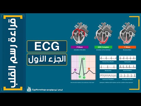 فيديو: كيف تقرأ رسم القلب (تخطيط كهربية القلب)