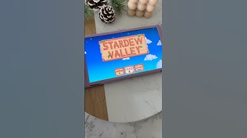 Stardew valley 1.6 update on the switch
