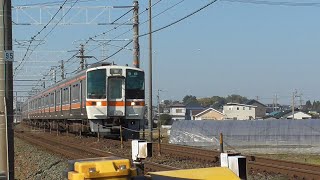 東海道線　311系8連　8両編成