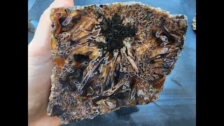 Rough Rocks for Lapidary & Collectible -  Amazing pseudomorph agate