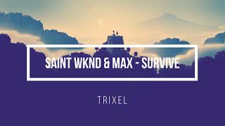 SAINT WKND & MAX - Survive