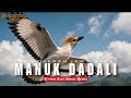 MANUK DADALI - Lagu Daerah Jawa Barat | Ethnic Electronic Remix by Syncestral Code