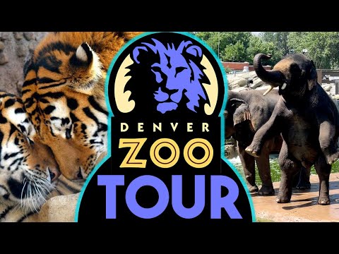 Denver Zoo Tour