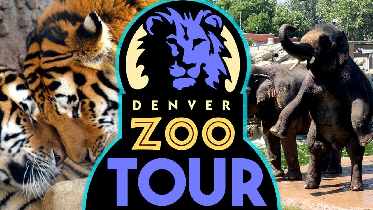 denver zoo private tours