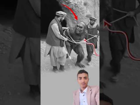 شد الرجلان قبضتهما على الكائن الهائل لكنه ظل يزأر كوحش غاضب خرج من أعماق الليل اكسبلور لايك دويتو